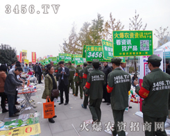 �Z�Z�������ƏV������ʮ�������