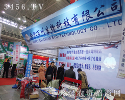 �e�O�������İٴ�����