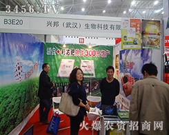 �d���h���������2014ֲ���p����(hu��)