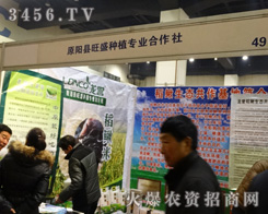 ԭꖿh��ʢ�Nֲ������