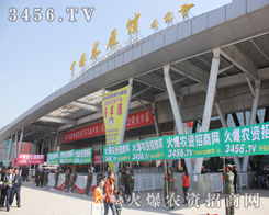 ���r(n��ng)�Y���̾W(w��ng)�����F(tu��n)�(du��)�ͺ���������������С�L(f��ng)��