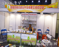 ۳��h�Z�S�N�I(y��)��2014�������ݷN�ӕ�����ɫ��