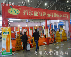 ���|�Ǻ�����N�I(y��)���㹲��2014�L���N�ӕ�