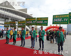 ���ഺ�]����Ѫ���È�(ji��n)���㌑�ഺ