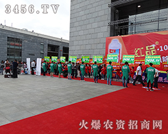 ���¿಻�������L(f��ng)�����԰��P(y��ng)