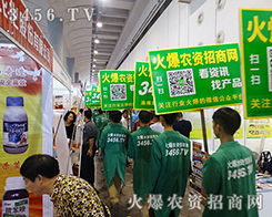 �𱬾W(w��ng)���̺�ƽ�_��ʡ�r(sh��)ʡ����ʡ�X