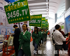 �𱬈F(tu��n)�׌���o�n