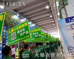 ���߰������ˣ�