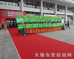 �Z�Z�������ƏV������ʮ�������