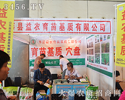 ɽ�|ݷ�h���r(n��ng)������|(zh��)���޹�˾����2015�ό��r(n��ng)�Y��(hu��)-2015��13���Ϸ��r(n��ng)�Y���[��(hu��)