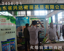 ɽ�|�d�_(d��)�Ƽ��c(di��n)ȼ��(j��ng)�N�̼�����