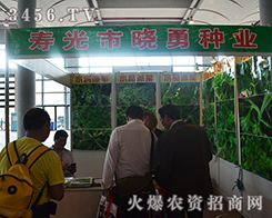 �۹��Е��·N�I(y��)�o��ӡ�������