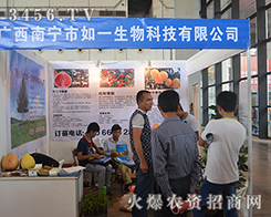 �V���ό�����һ������2015�Ϸ��r(n��ng)�Y��(hu��)�ϵ��W��֮��