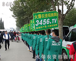 ���ˈF(tu��n)�Y(ji��)һ�ģ��ɞ�ɽ�|ֲ����(hu��)�ϵľG���`