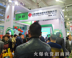 ɽ�|��(r��n)Ұֲ������Ч������