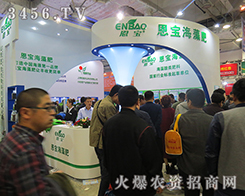 ɽ�|��������չʾ��Ʒ��������ò