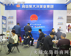 ���u�۴�����I(y��)���F(tu��n)�ڴ�������