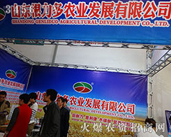 ɽ�|�������r(n��ng)�I(y��)�l(f��)չ���޹�˾����2015��ɽ�|ֲ����-2015��21��ɽ�|ֲ����Ϣ�������r(n��ng)ˎе���ו�