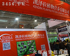 Ӣ���P����ֲ����ڇLԇ�����ڄ�(chu��ng)����