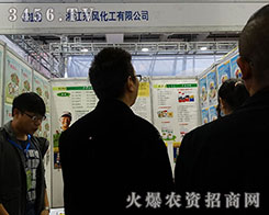 �㽭�|�L(f��ng)����2015ɽ�|ֲ��������Ч���ã�