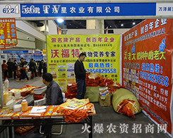 ����ʡ�|���r(n��ng)�I(y��)�M�d���w