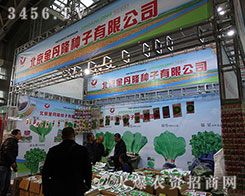 ������¡�N����Ӱ�o̎������