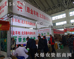 �������Sʢ�؝M�d���w���T������