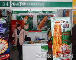 �����I�|���S�c����s��Ҋ(ji��n)��ɢ