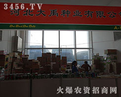 �ӱ������N�I(y��)��2015�����I�N����(hu��)���ǹ��貣�