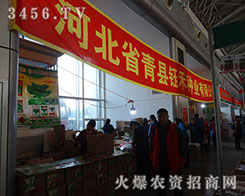 �ӱ�ʡ��h╺̷N�I(y��)��2015�����I�N����(hu��)�������