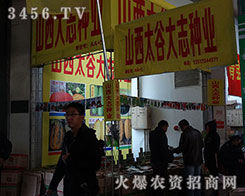 ɽ��̫�ȴ�־�N�I(y��)2015�����I�N�ӕ��ϝM�Ѽ���