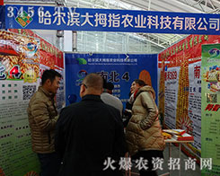 �����I��Ĵָ2015�����I�N�ӕ��������ӡ��