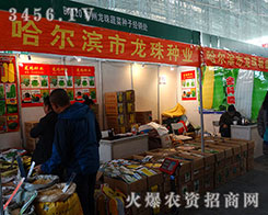 �����I����ʼ�K�Գ����|(zh��)����������