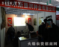 ��ľ˹������2015�����I�N�I(y��)���[��ȡ���˷ǳ��õ�����Ч��