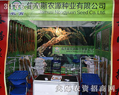 2015�����I�N�ӕ�����ľ˹�r(n��ng)Դ�ٶȳ���Գ־��Ǆ���