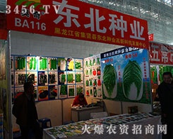 ���������t2015�����I�N����(hu��)������