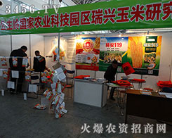 2015�����I�N�ӽ��ו�(hu��)�����d�����о����M�Ѽ���