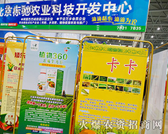 ������(bi��o)�Y�r(n��ng)�I(y��)�Ƽ��_�l(f��)���ą���2015ȫ��ֲ����-2015��31��ֲ����Ϣ�������r(n��ng)ˎе���ו�