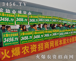 3456.tv��2015�����I�N�ӕ��ի@�H�S��