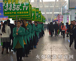 ���r(n��ng)�Y���̾W(w��ng)�ľ�Ӣ�����¿��������ۣ�