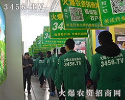 2015�����I�N�ӕ�(hu��)���r(n��ng)�Y�W(w��ng)�Գ�Խ���ˑB(t��i)���C�����Լ��Č�(sh��)����