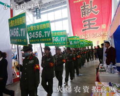 3456.TV�ɞ�2015�ӱ�ֲ�����ϲ�Ŀ������ƽ�_