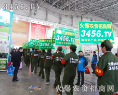 3456.TV��ҧ�o���P(gu��n)���و�(ji��n)��һ��