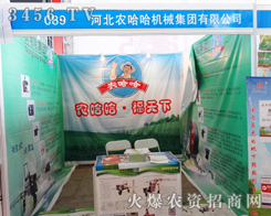 �ӱ��r�����Cе���F���޹�˾����2015�ӱ�ʡֲ����-2015��ӱ�ʡ�ڶ�ʮ�ߌ�ֲ����Ϣ���rˎе������