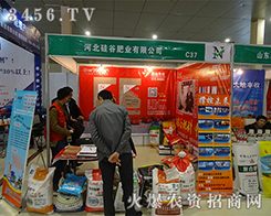 �ӱ���ȷʘI(y��)��2015�ʝ��r(n��ng)�Y���ו�(hu��)߳���L(f��ng)��