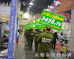 �Gɫ܊�b��鳯��ͬһ�������M�l(f��)