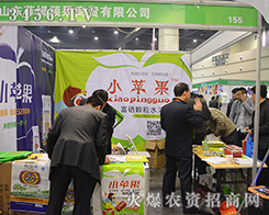 ɽ�|��ķ�l����2015���ݷ��ϕ������P(gu��n)ע