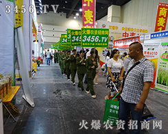 �𱬾W(w��ng)�@һ֧���R�������(du��)��