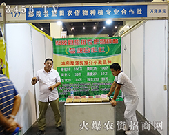 �����r(n��ng)����Č�(sh��)�H���l(f��)�齛(j��ng)�N���́��̙C(j��)