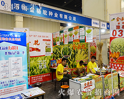 ���Ͻ�������2015���ݷN�ӽ�����